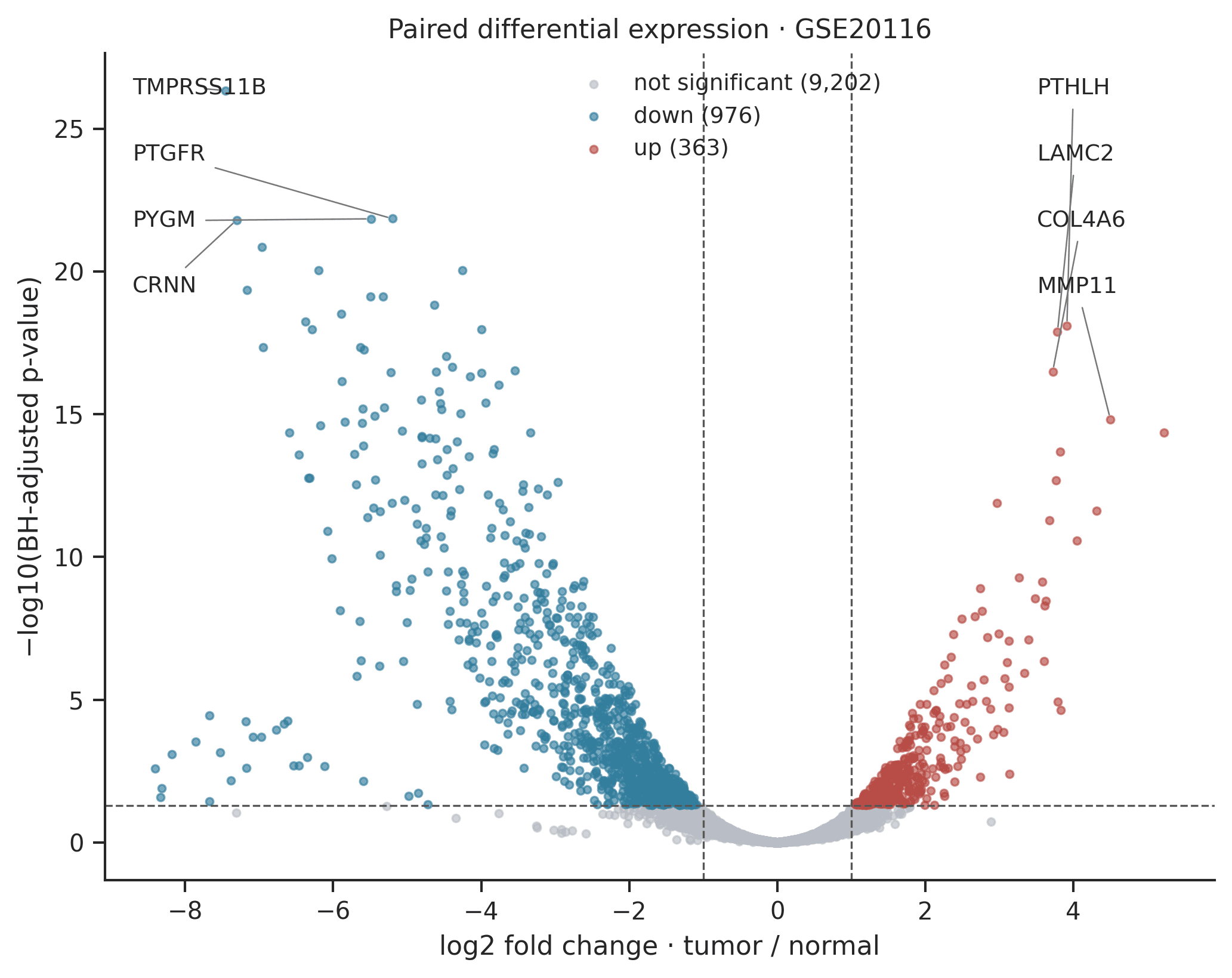 Volcano plot of paired differential expression in GSE20116: 976 downregulated and 363 upregulated gene representatives in tumor versus normal tissue, with PTHLH, LAMC2, COL4A6 and MMP11 labelled among upregulated genes and TMPRSS11B, PTGFR, PYGM and CRNN among downregulated genes.